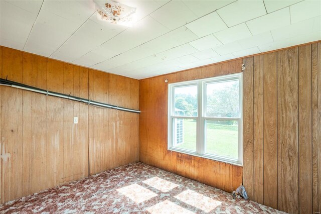 spare room featuring wood walls and carpet flooring