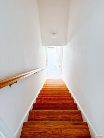 staircase featuring wood-type flooring