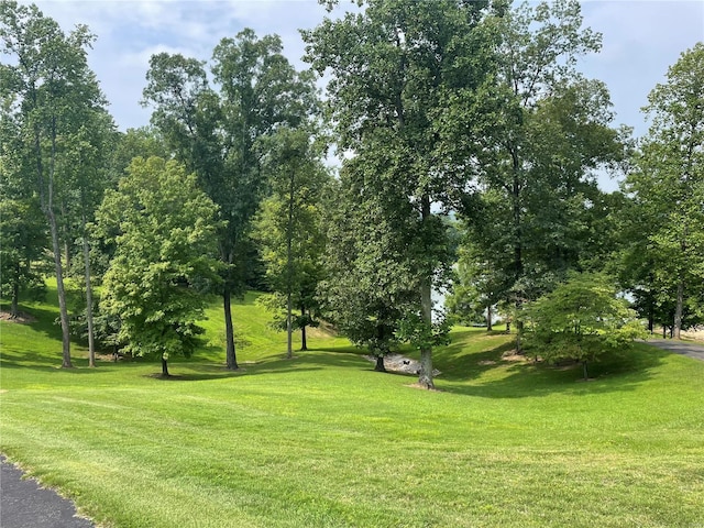 surrounding community featuring a lawn