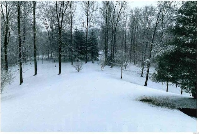 view of snowy yard