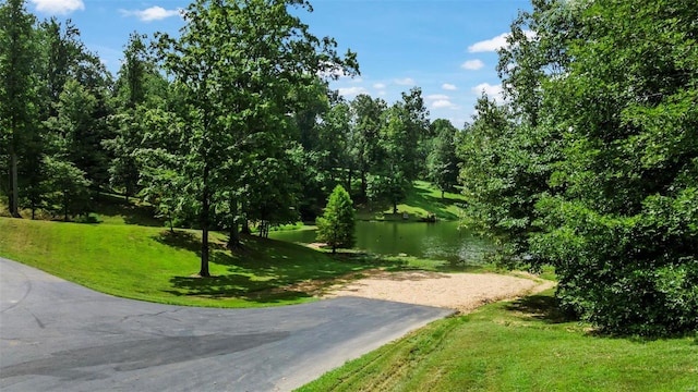 view of community with a water view and a lawn