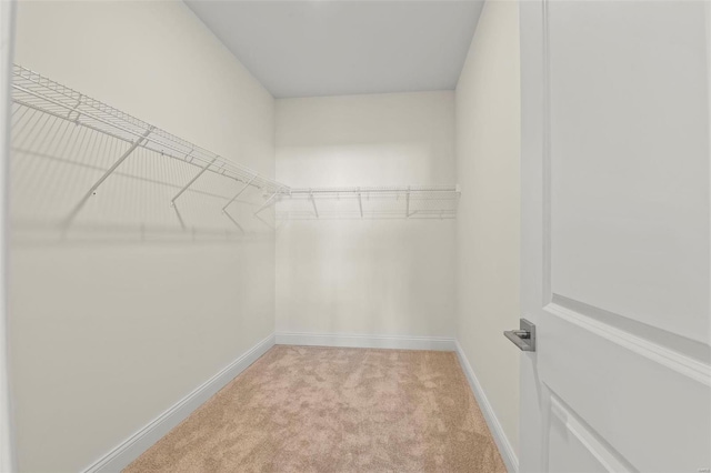 walk in closet featuring light colored carpet