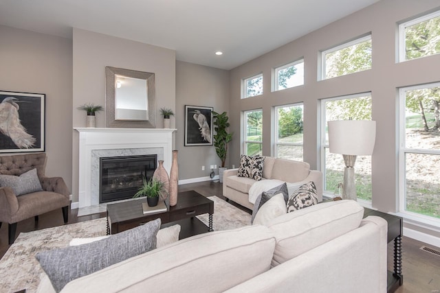 living room featuring hardwood / wood-style floors, a healthy amount of sunlight, and a fireplace