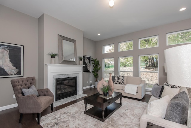 living room with a premium fireplace and hardwood / wood-style floors