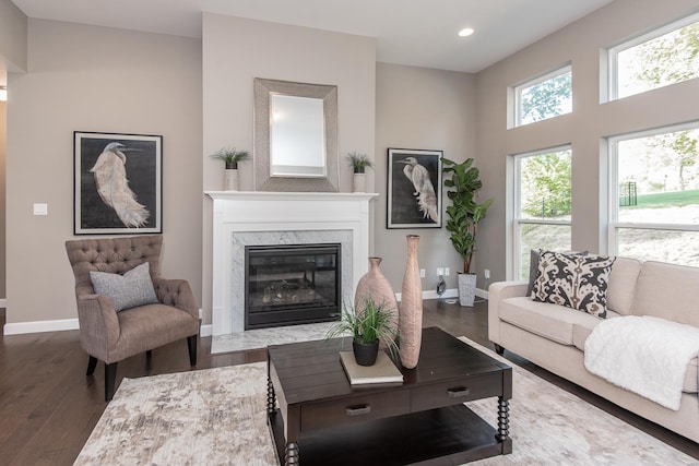 living room with a premium fireplace and dark hardwood / wood-style floors