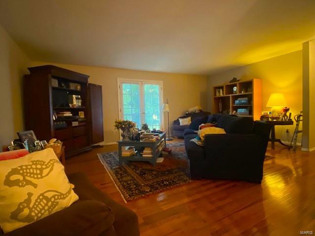 living room featuring wood-type flooring