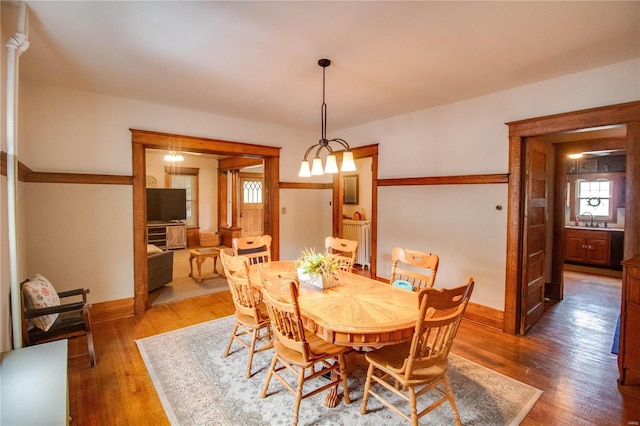 dining space featuring sink and wood-type flooring