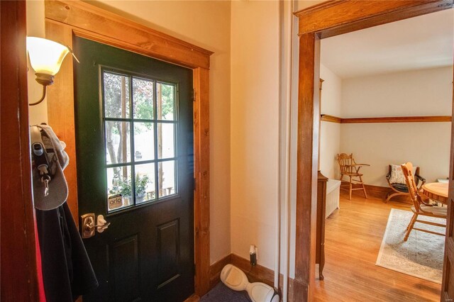 doorway featuring a healthy amount of sunlight and light wood-type flooring