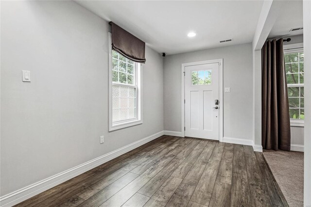 carpeted foyer entrance with a healthy amount of sunlight