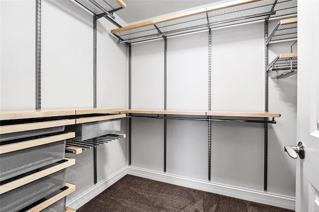 spacious closet featuring carpet floors