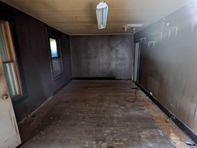 basement with hardwood / wood-style flooring