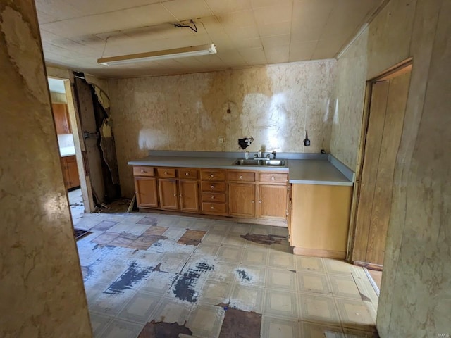 kitchen featuring sink