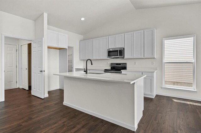 kitchen with sink, dark hardwood / wood-style floors, stainless steel appliances, and vaulted ceiling