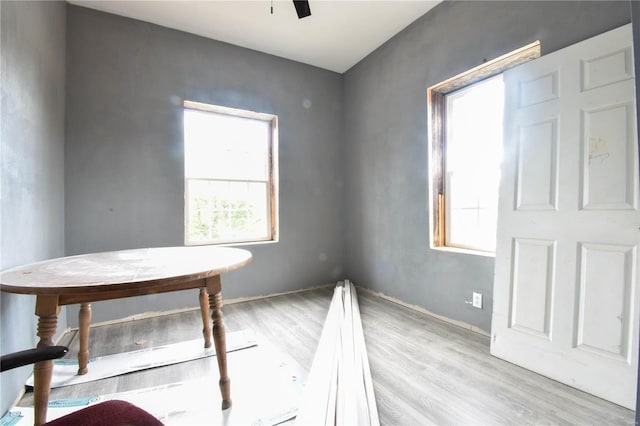 unfurnished dining area with light wood-type flooring and ceiling fan