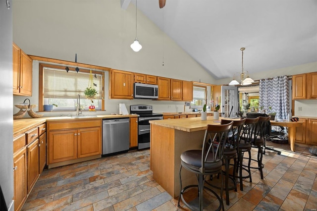 kitchen featuring appliances with stainless steel finishes, plenty of natural light, sink, and butcher block countertops