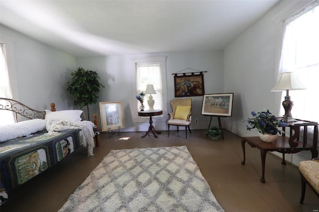 bedroom with wood-type flooring