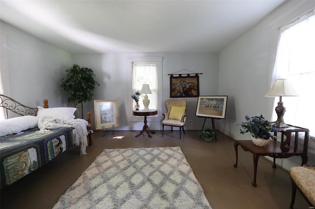 sitting room with dark hardwood / wood-style floors