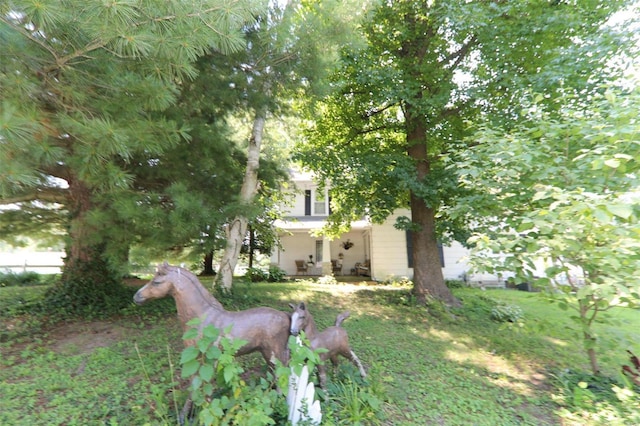 view of yard featuring a porch