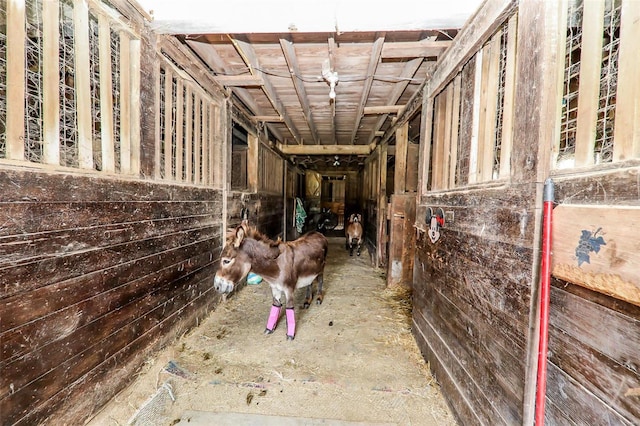 view of horse barn