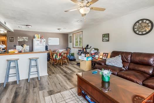 living room featuring ceiling fan and wood-type flooring