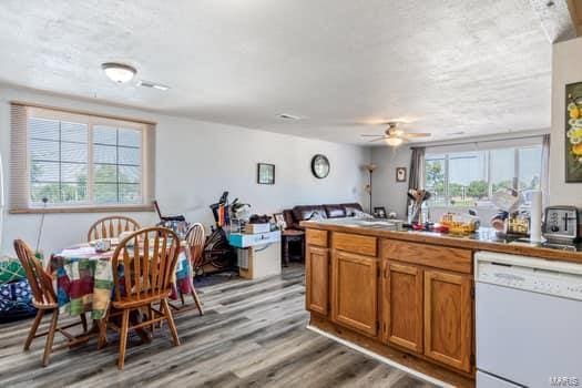 kitchen with white dishwasher, wood-type flooring, and ceiling fan