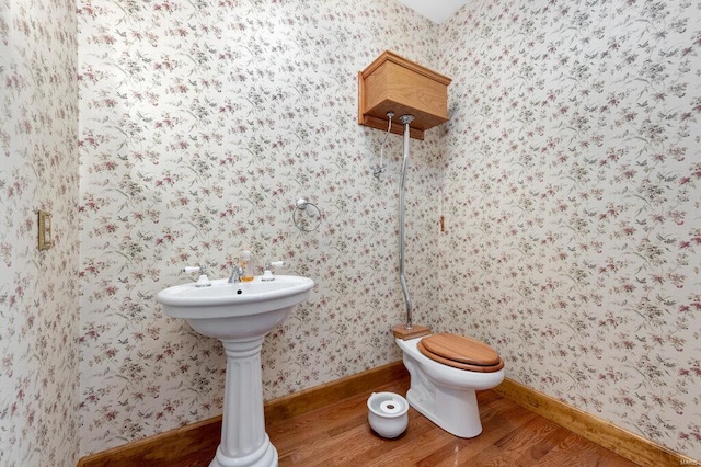 bathroom featuring toilet, sink, and wood-type flooring