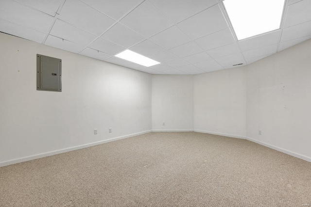 spare room with electric panel, a drop ceiling, and carpet