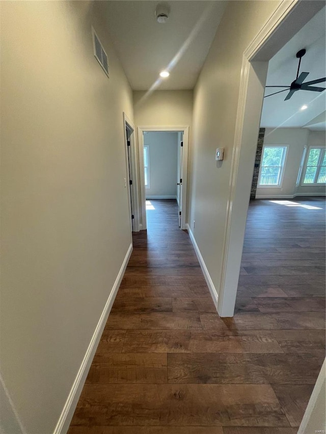 hallway featuring dark wood-type flooring