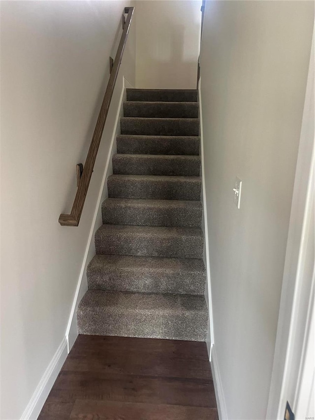 staircase featuring wood-type flooring