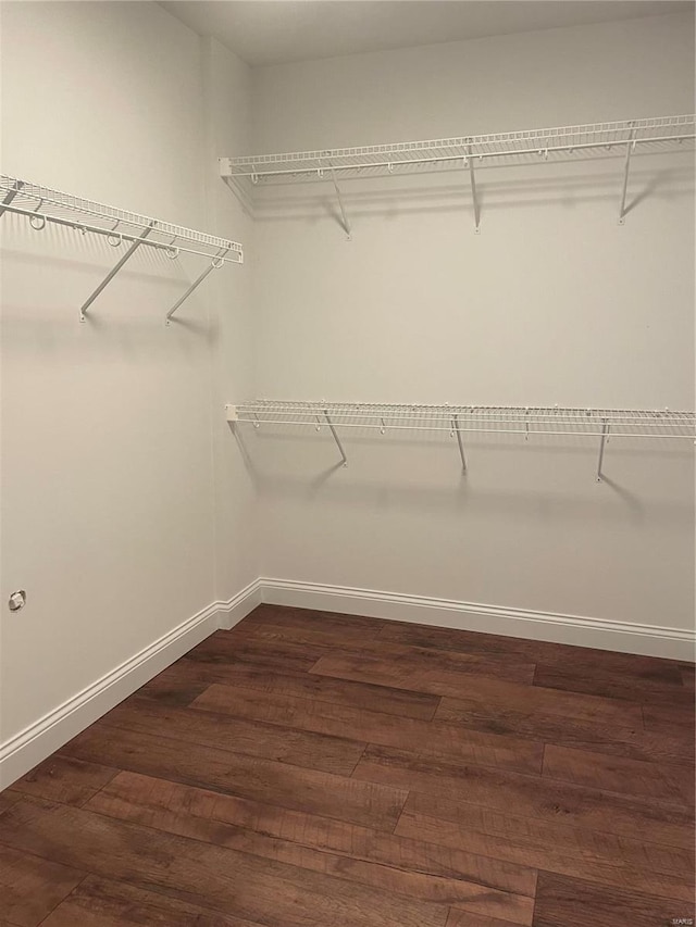 spacious closet featuring hardwood / wood-style floors