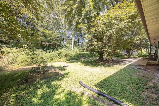 view of yard featuring central air condition unit