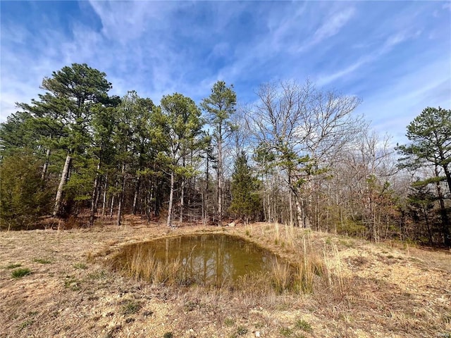 view of local wilderness featuring a water view