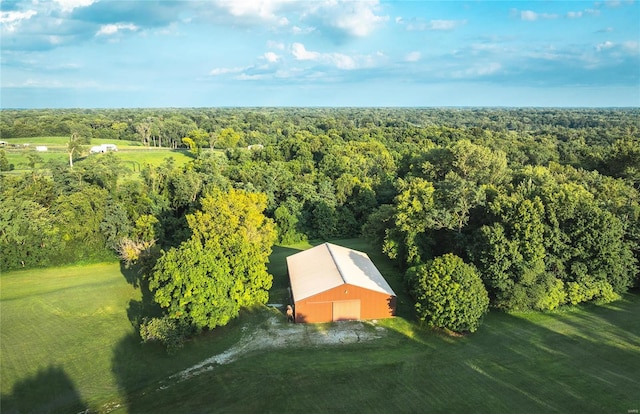 bird's eye view with a view of trees