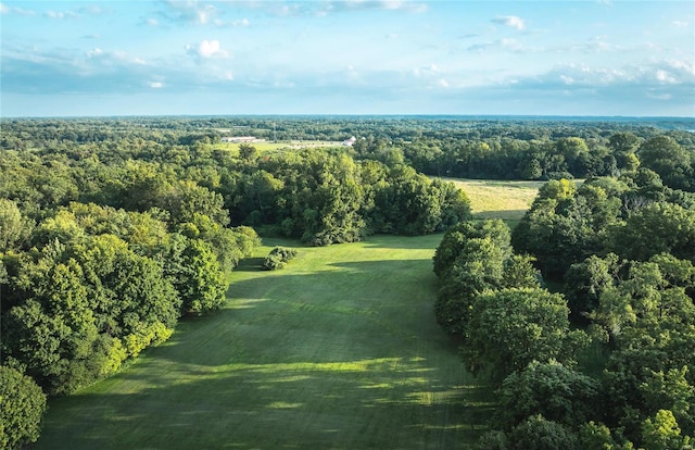 aerial view with a view of trees