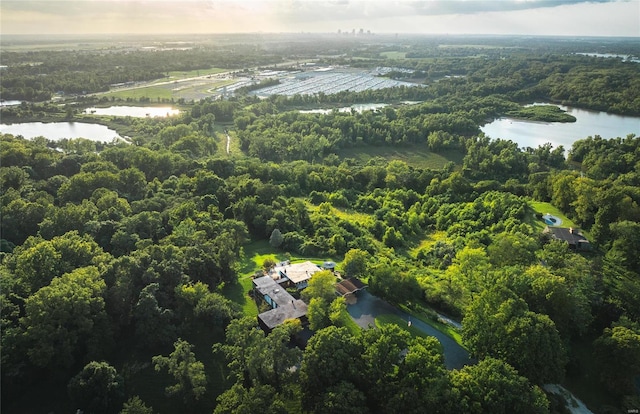 bird's eye view featuring a water view and a wooded view