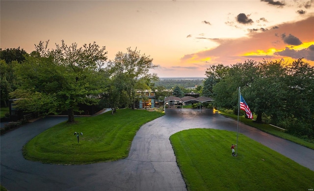 view of home's community featuring a yard