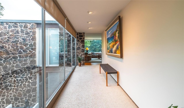 corridor with a wealth of natural light and carpet floors