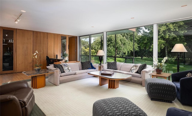 living room featuring wood walls, rail lighting, and expansive windows