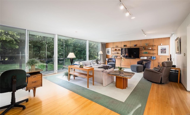 living room with rail lighting, wood walls, light hardwood / wood-style floors, and a healthy amount of sunlight