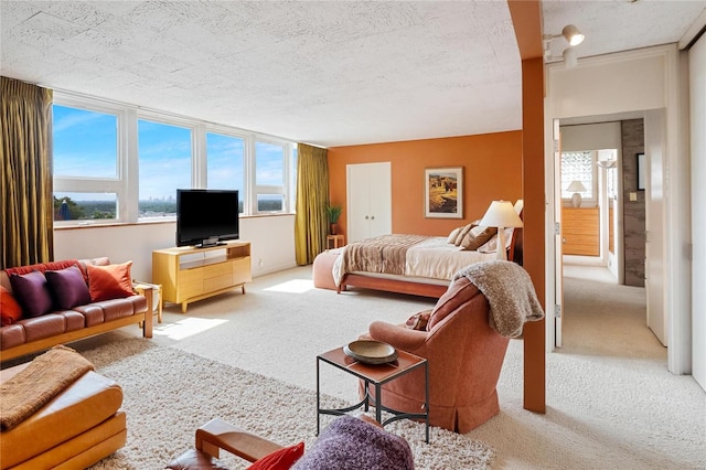 living room featuring plenty of natural light, light colored carpet, and a textured ceiling