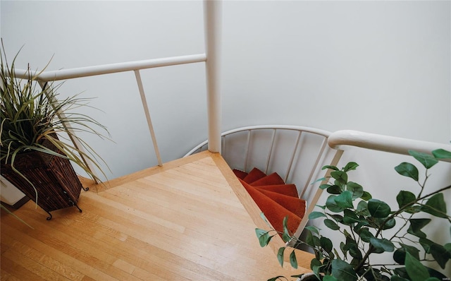 stairway with wood finished floors