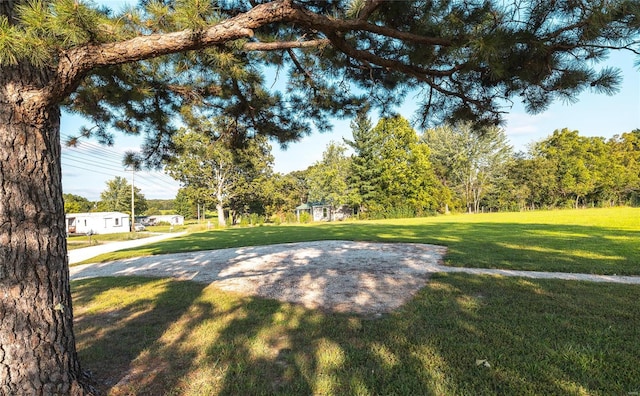 view of property's community with a yard