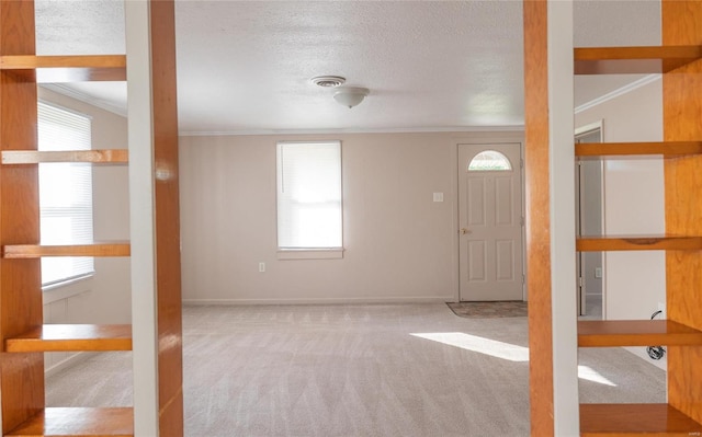 carpeted foyer featuring a textured ceiling and a wealth of natural light