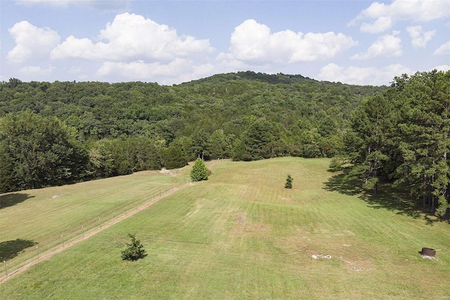 bird's eye view with a forest view