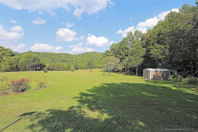 view of yard with a forest view, a storage unit, and an outbuilding