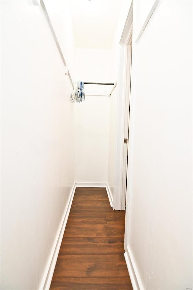 walk in closet featuring hardwood / wood-style flooring