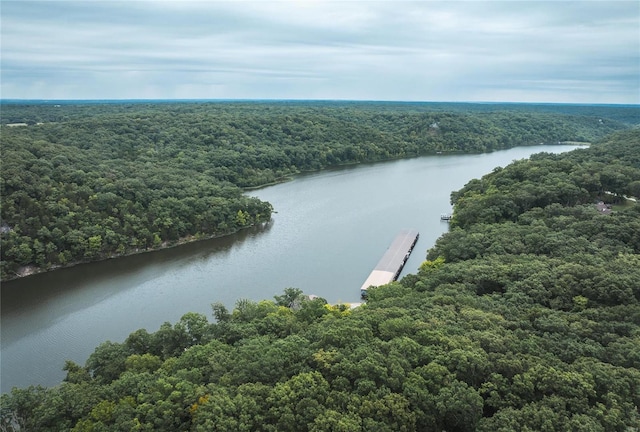 birds eye view of property featuring a water view and a wooded view