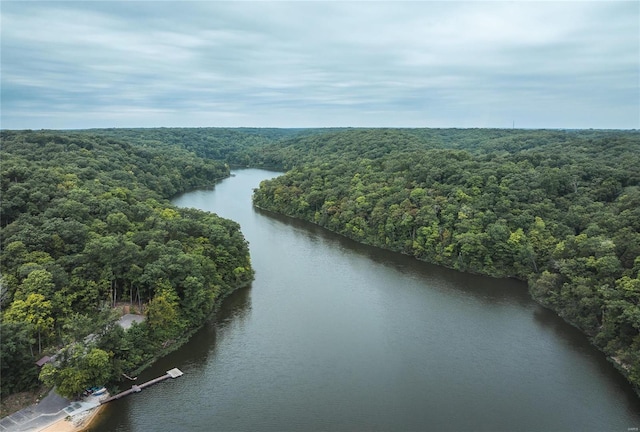 drone / aerial view with a water view and a view of trees