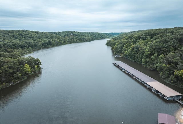 bird's eye view featuring a water view and a forest view