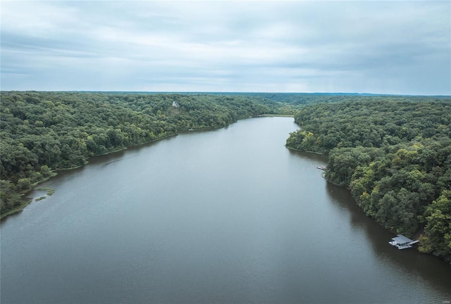 drone / aerial view featuring a water view and a view of trees